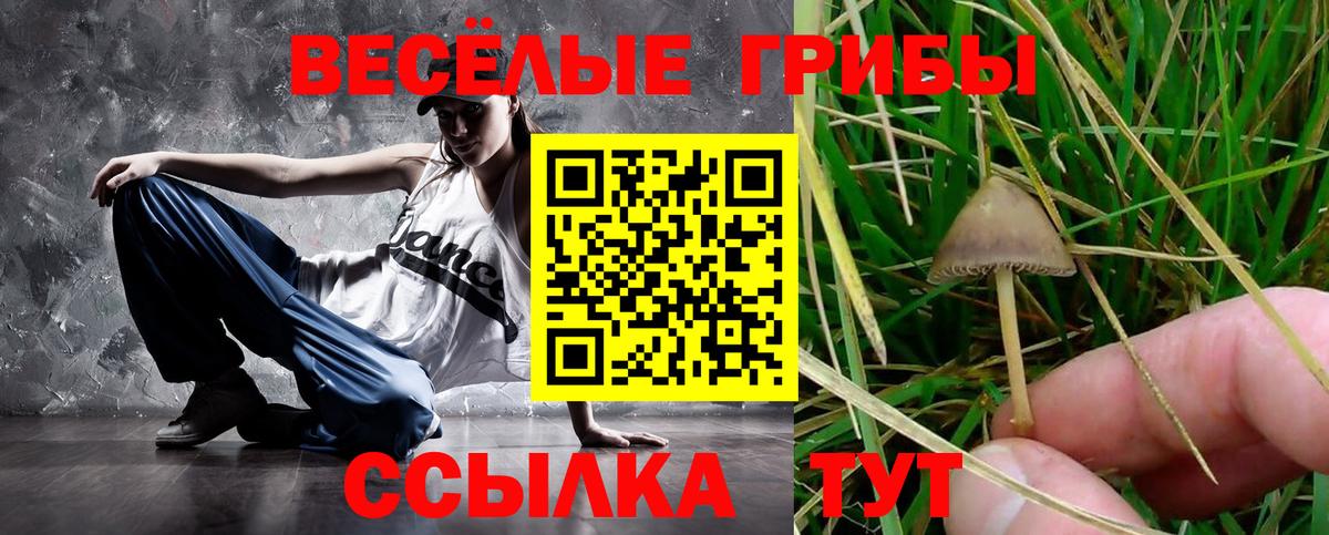 Наро-Фоминск  Псилоцибиновые грибы Psilocybine cubensis  Вход с VPN 