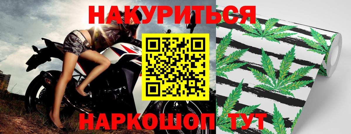 Наро-Фоминск  МАРИХУАНА OG Kush  Каннабис сатива  Вход с VPN 